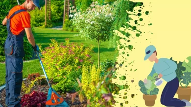 nhân viên chăm sóc cây xanh khách sạn